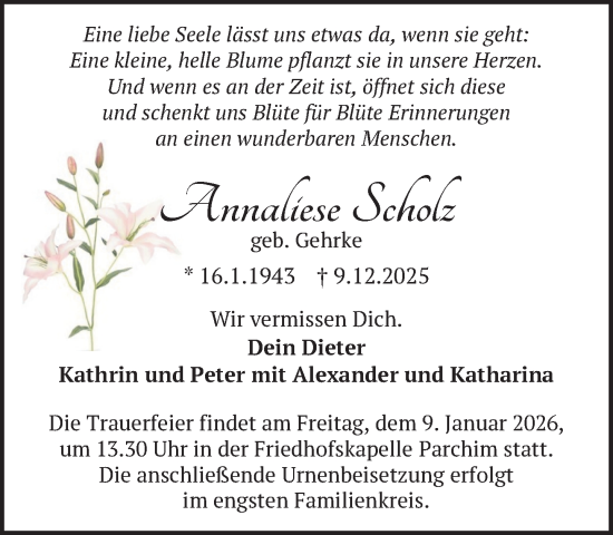 Traueranzeige von Annaliese Scholz von Parchim und Lübz