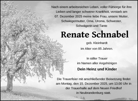 Traueranzeige von Renate Schnabel von Nordkurier Neubrandenburger Zeitung