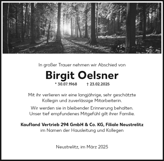 Traueranzeige von Birgit Oelsner von Nordkurier Strelitzer Zeitung