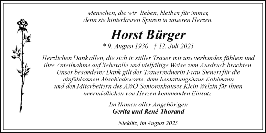 Traueranzeige von Horst Bürger von Hagenower Kreisblatt