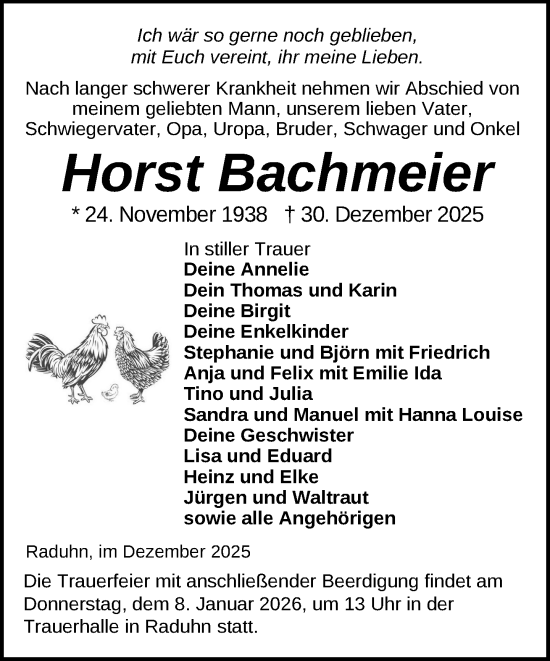 Traueranzeige von Horst Bachmeier von Parchim und Lübz