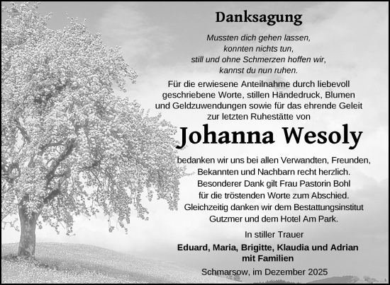 Traueranzeige von Johanna Wesoly von Nordkurier Grosso