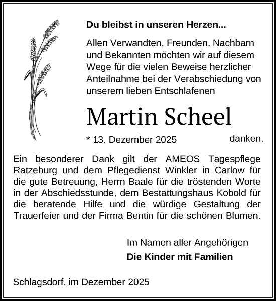 Traueranzeige von Martin Scheel von Gadebusch - Rehnaer Zeitung