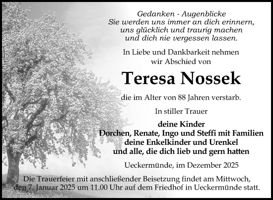 Traueranzeige von Teresa Nossek von Nordkurier Haff-Zeitung