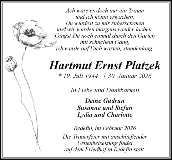 Traueranzeige von Hartmut Ernst Platzek von Hagenower Kreisblatt